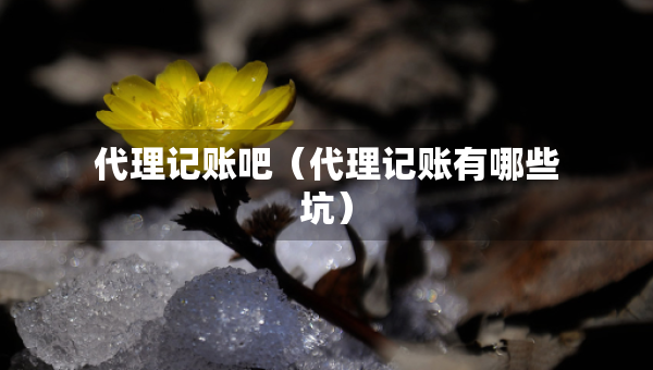 代理記賬吧（代理記賬有哪些坑）