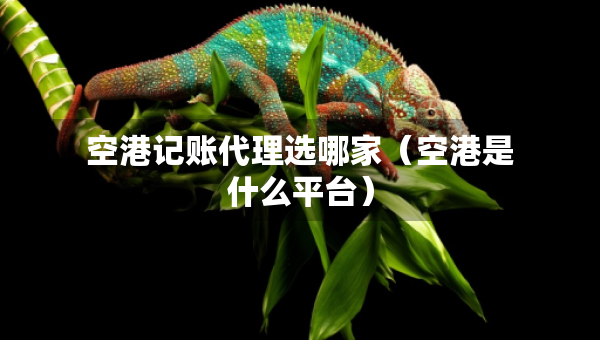 空港記賬代理選哪家（空港是什么平臺）