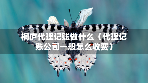 桐廬代理記賬做什么（代理記賬公司一般怎么收費(fèi)）