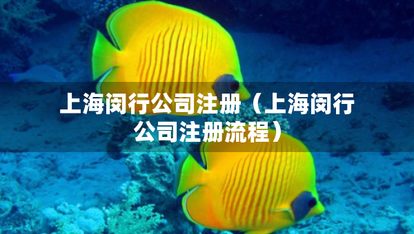 上海閔行公司注冊（上海閔行公司注冊流程）
