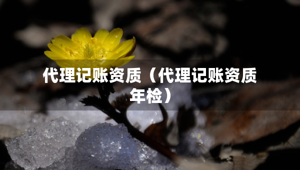 代理記賬資質(zhì)（代理記賬資質(zhì)年檢）