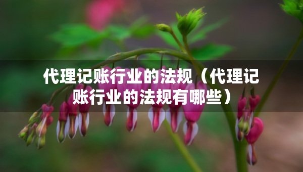 代理記賬行業(yè)的法規(guī)（代理記賬行業(yè)的法規(guī)有哪些）