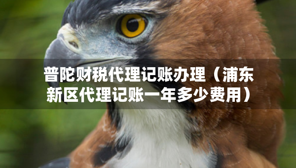 普陀財(cái)稅代理記賬辦理（浦東新區(qū)代理記賬一年多少費(fèi)用）