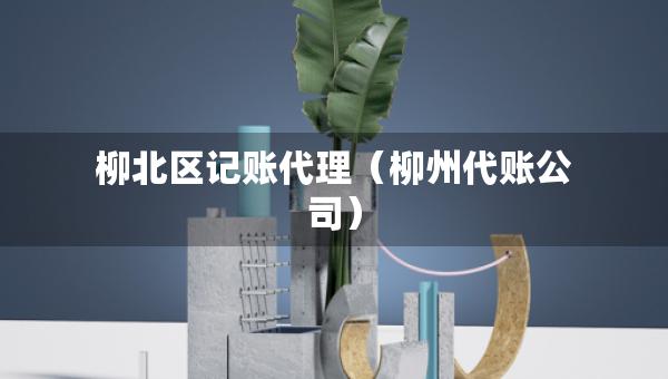 柳北區(qū)記賬代理（柳州代賬公司）