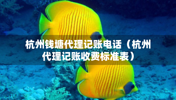 杭州錢塘代理記賬電話（杭州代理記賬收費(fèi)標(biāo)準(zhǔn)表）