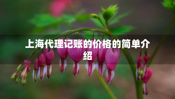 上海代理記賬的價格的簡單介紹