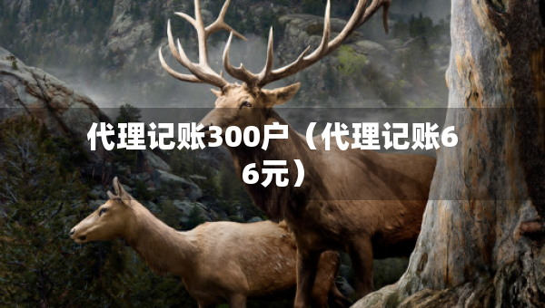 代理記賬300戶（代理記賬66元）