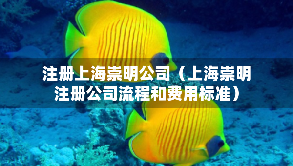 注冊上海崇明公司(上海崇明注冊公司流程和費用標(biāo)準(zhǔn)) 注冊上海崇明公司(上海崇明注冊公司流程和費用標(biāo)準(zhǔn))