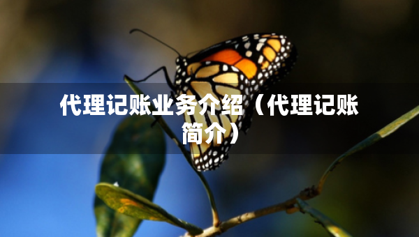 代理記賬業(yè)務(wù)介紹（代理記賬簡(jiǎn)介）