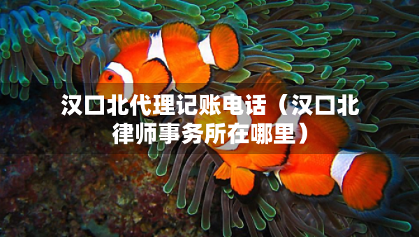 漢口北代理記賬電話（漢口北律師事務(wù)所在哪里）