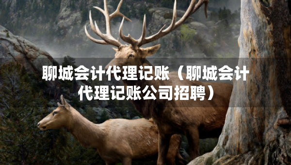 聊城會(huì)計(jì)代理記賬（聊城會(huì)計(jì)代理記賬公司招聘）
