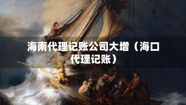 海南代理記賬公司大增（?？诖碛涃~）