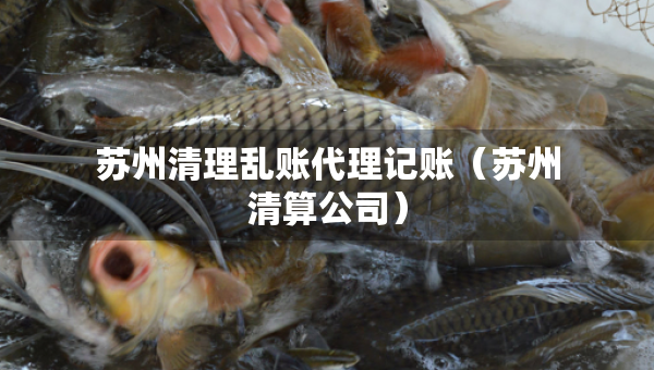 蘇州清理亂賬代理記賬（蘇州清算公司）