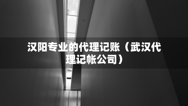 漢陽專業(yè)的代理記賬（武漢代理記帳公司）