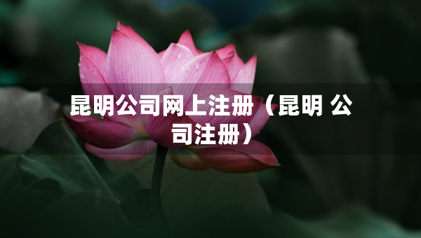 昆明公司網(wǎng)上注冊（昆明 公司注冊）