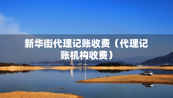 新華街代理記賬收費（代理記賬機構(gòu)收費）