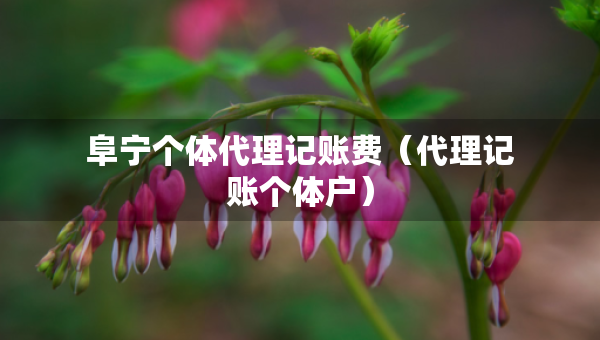 阜寧個體代理記賬費（代理記賬個體戶）