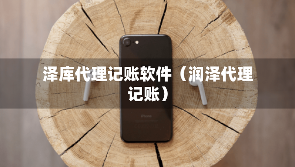 澤庫代理記賬軟件（潤澤代理記賬）