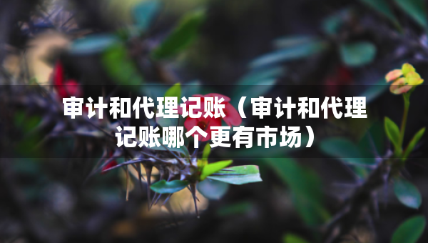 審計(jì)和代理記賬(審計(jì)和代理記賬哪個(gè)更有市場(chǎng)) 審計(jì)和代理記賬(審計(jì)和代理記賬哪個(gè)更有市場(chǎng))