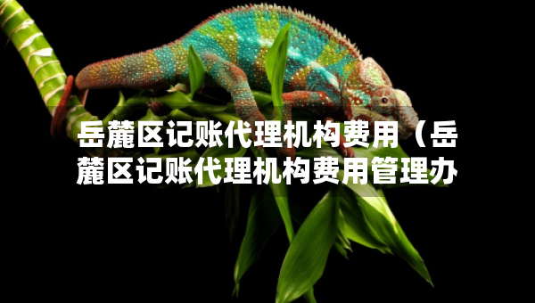 岳麓區(qū)記賬代理機(jī)構(gòu)費(fèi)用（岳麓區(qū)記賬代理機(jī)構(gòu)費(fèi)用管理辦法）