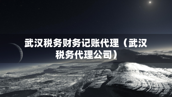 武漢稅務(wù)財(cái)務(wù)記賬代理（武漢稅務(wù)代理公司）