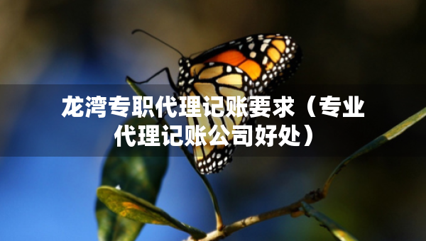 龍灣專職代理記賬要求（專業(yè)代理記賬公司好處）