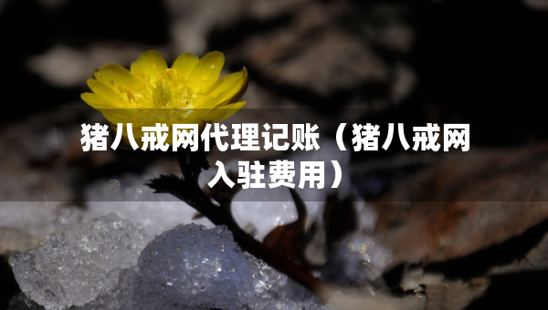 豬八戒網(wǎng)代理記賬（豬八戒網(wǎng)入駐費用）