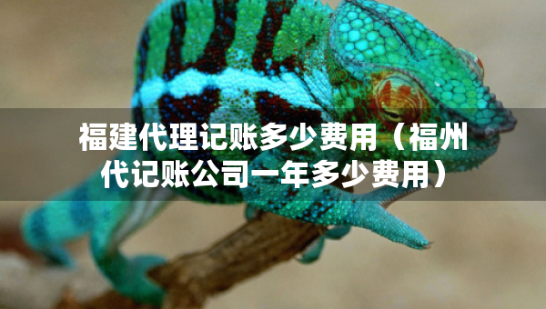 福建代理記賬多少費(fèi)用(福州代記賬公司一年多少費(fèi)用) 福建代理記賬多少費(fèi)用(福州代記賬公司一年多少費(fèi)用)