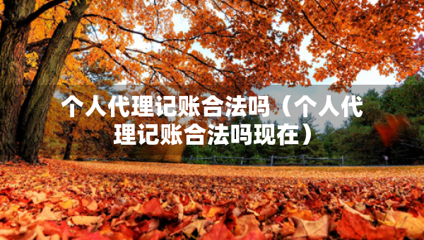 個(gè)人代理記賬合法嗎（個(gè)人代理記賬合法嗎現(xiàn)在）