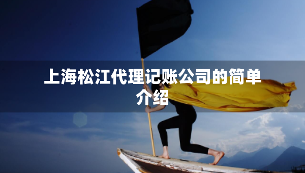 上海松江代理記賬公司的簡(jiǎn)單介紹