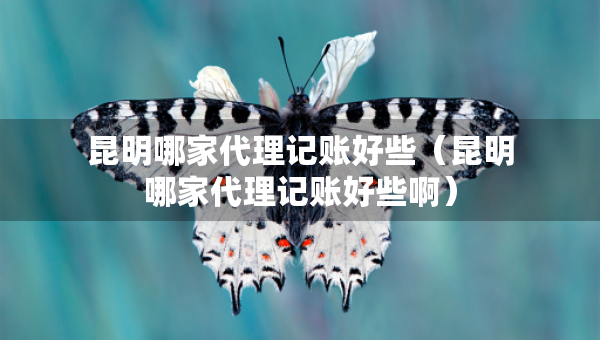 昆明哪家代理記賬好些（昆明哪家代理記賬好些?。? title=