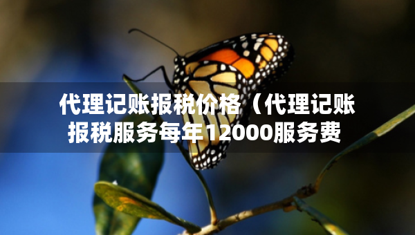 代理記賬報(bào)稅價(jià)格（代理記賬報(bào)稅服務(wù)每年12000服務(wù)費(fèi) 高嗎）