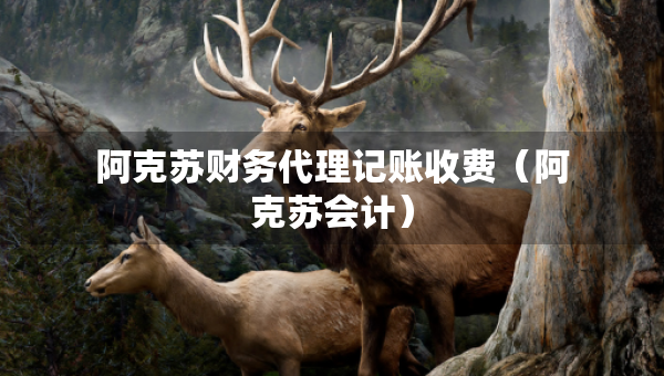 阿克蘇財(cái)務(wù)代理記賬收費(fèi)（阿克蘇會(huì)計(jì)）