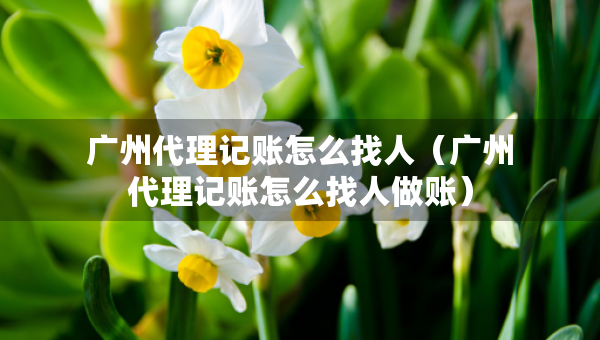 廣州代理記賬怎么找人（廣州代理記賬怎么找人做賬）