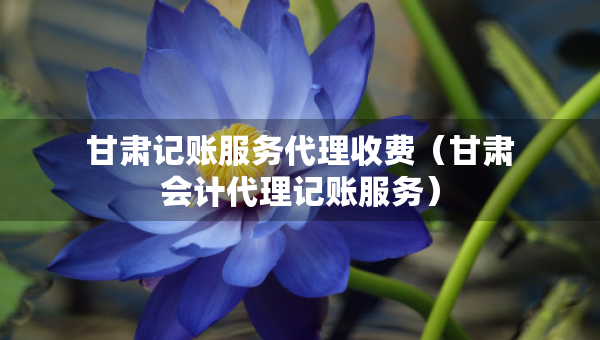 甘肅記賬服務(wù)代理收費(fèi)（甘肅會計(jì)代理記賬服務(wù)）