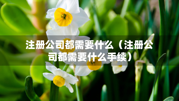 注冊公司都需要什么(注冊公司都需要什么手續(xù)) 注冊公司都需要什么(注冊公司都需要什么手續(xù))
