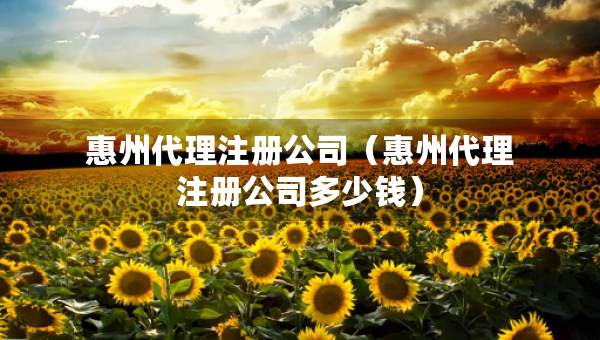 惠州代理注冊(cè)公司（惠州代理注冊(cè)公司多少錢）