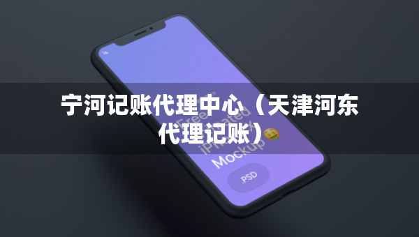寧河記賬代理中心（天津河?xùn)|代理記賬）