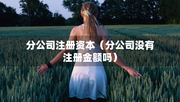 分公司注冊(cè)資本（分公司沒(méi)有注冊(cè)金額嗎）