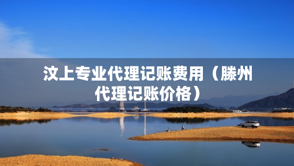 汶上專業(yè)代理記賬費(fèi)用（滕州代理記賬價(jià)格）
