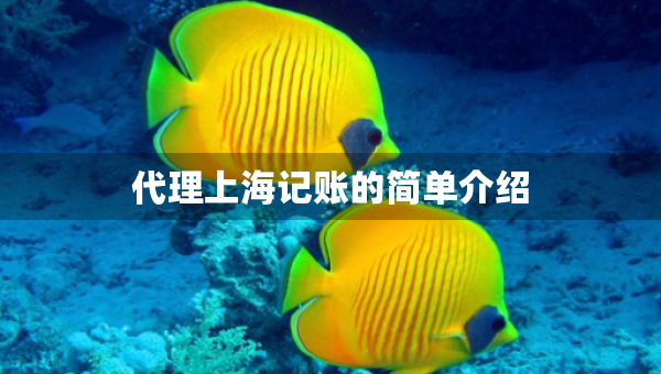 代理上海記賬的簡單介紹