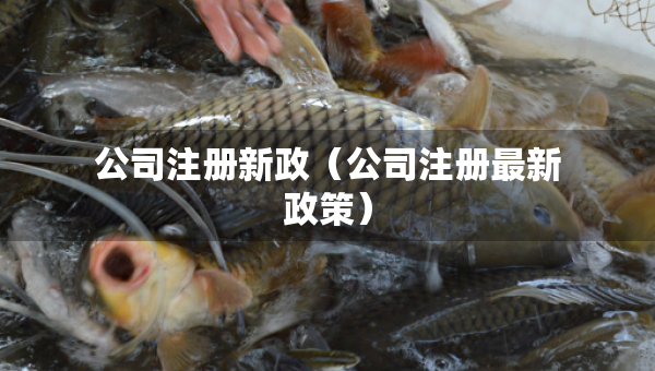 公司注冊(cè)新政（公司注冊(cè)最新政策）