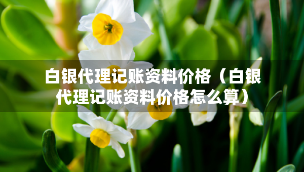 白銀代理記賬資料價格（白銀代理記賬資料價格怎么算）