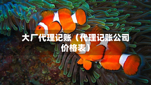 大廠代理記賬（代理記賬公司價格表）