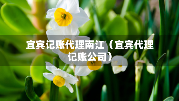 宜賓記賬代理南江(宜賓代理記賬公司) 宜賓記賬代理南江(宜賓代理記賬公司)