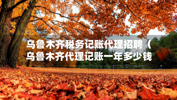 烏魯木齊稅務(wù)記賬代理招聘(烏魯木齊代理記賬一年多少錢(qián)) 烏魯木齊稅務(wù)記賬代理招聘(烏魯木齊代理記賬一年多少錢(qián))