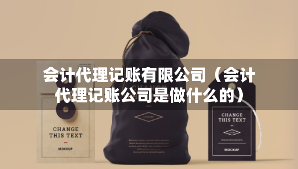 會(huì)計(jì)代理記賬有限公司（會(huì)計(jì)代理記賬公司是做什么的）