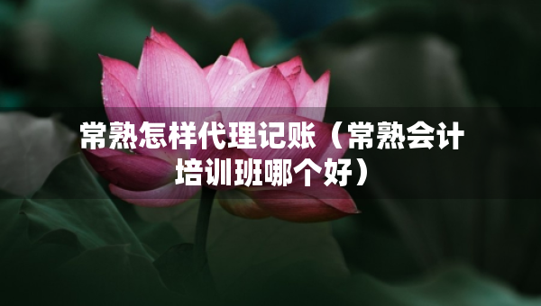 常熟怎樣代理記賬（常熟會計培訓(xùn)班哪個好）