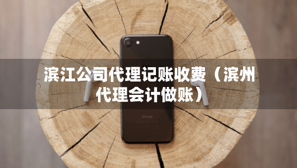 濱江公司代理記賬收費(濱州代理會計做賬) 濱江公司代理記賬收費(濱州代理會計做賬)