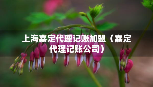 上海嘉定代理記賬加盟（嘉定代理記賬公司）